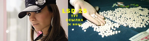ПСИЛОЦИБИНОВЫЕ ГРИБЫ Алексеевка
