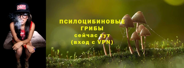 прущий лед Алексин