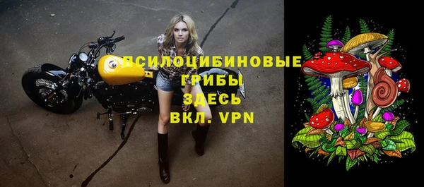 прущий лед Алексин