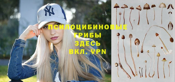 прущий лед Алексин